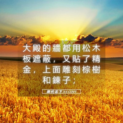 Picture 05 - 歷 代 志 下 3:5 CUVT - 大 殿 的 牆 都 用 松 木 板 遮 蔽 ， - Bible Verse Picture