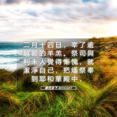 Picture 05 - 歷 代 志 下 30:15 CUVT - 二 月 十 四 日 ， 宰 了 逾 越 節 的 - Bible Verse Picture