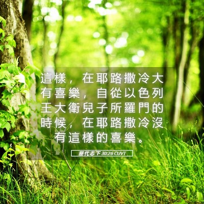 Picture 05 - 歷 代 志 下 30:26 CUVT - 這 樣 ， 在 耶 路 撒 冷 大 有 喜 樂 - Bible Verse Picture