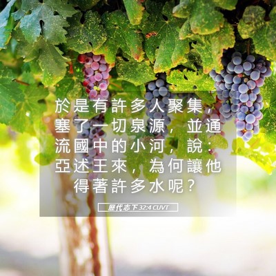 Picture 05 - 歷 代 志 下 32:4 CUVT - 於 是 有 許 多 人 聚 集 ， 塞 了 一 - Bible Verse Picture