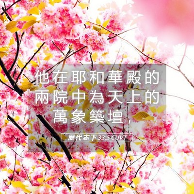 Picture 05 - 歷 代 志 下 33:5 CUVT - 他 在 耶 和 華 殿 的 兩 院 中 為 天 - Bible Verse Picture