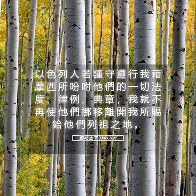 Picture 05 - 歷 代 志 下 33:8 CUVT - 以 色 列 人 若 謹 守 遵 行 我 藉 摩 - Bible Verse Picture