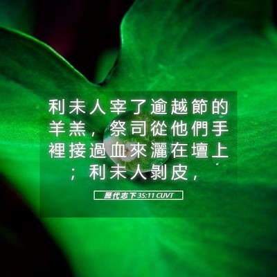 Picture 05 - 歷 代 志 下 35:11 CUVT - 利 未 人 宰 了 逾 越 節 的 羊 羔 ， - Bible Verse Picture