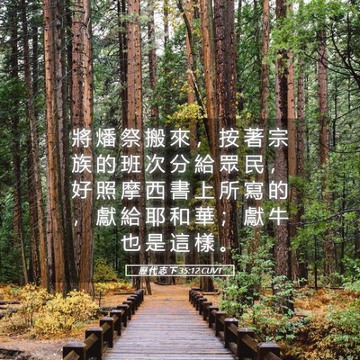 Picture 05 - 歷 代 志 下 35:12 CUVT - 將 燔 祭 搬 來 ， 按 著 宗 族 的 班 - Bible Verse Picture