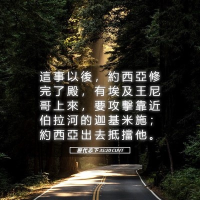 Picture 05 - 歷 代 志 下 35:20 CUVT - 這 事 以 後 ， 約 西 亞 修 完 了 殿 - Bible Verse Picture