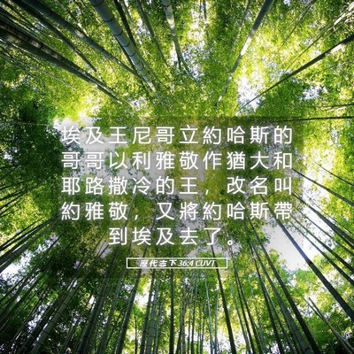 Picture 05 - 歷 代 志 下 36:4 CUVT - 埃 及 王 尼 哥 立 約 哈 斯 的 哥 哥 - Bible Verse Picture