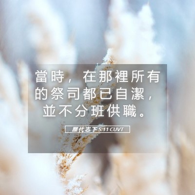 Picture 05 - 歷 代 志 下 5:11 CUVT - 當 時 ， 在 那 裡 所 有 的 祭 司 都 - Bible Verse Picture