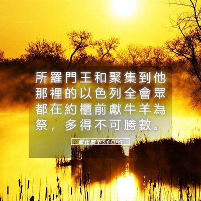 Picture 05 - 歷 代 志 下 5:6 CUVT - 所 羅 門 王 和 聚 集 到 他 那 裡 的 - Bible Verse Picture