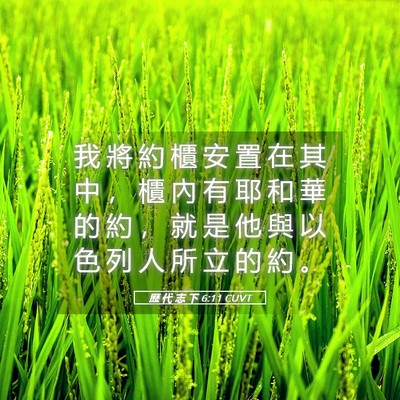 Picture 05 - 歷 代 志 下 6:11 CUVT - 我 將 約 櫃 安 置 在 其 中 ， 櫃 內 - Bible Verse Picture