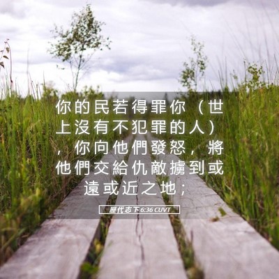 Picture 05 - 歷 代 志 下 6:36 CUVT - 你 的 民 若 得 罪 你 （ 世 上 沒 有 - Bible Verse Picture