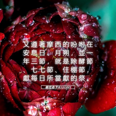 Picture 05 - 歷 代 志 下 8:13 CUVT - 又 遵 著 摩 西 的 吩 咐 在 安 息 日 - Bible Verse Picture