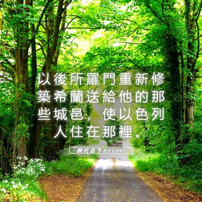 Picture 05 - 歷 代 志 下 8:2 CUVT - 以 後 所 羅 門 重 新 修 築 希 蘭 送 - Bible Verse Picture