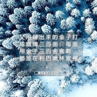 Picture 05 - 歷 代 志 下 9:16 CUVT - 又 用 錘 出 來 的 金 子 打 成 盾 牌 - Bible Verse Picture