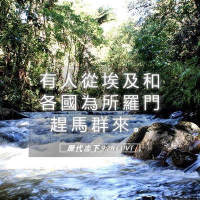 Picture 05 - 歷 代 志 下 9:28 CUVT - 有 人 從 埃 及 和 各 國 為 所 羅 門 - Bible Verse Picture