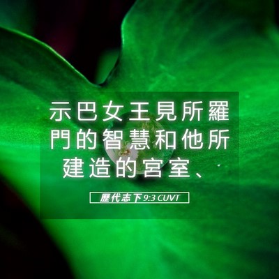 Picture 05 - 歷 代 志 下 9:3 CUVT - 示 巴 女 王 見 所 羅 門 的 智 慧 和 - Bible Verse Picture