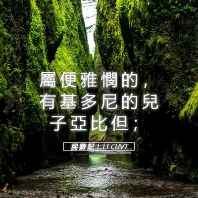 Picture 05 - 民 數 記 1:11 CUVT - 屬 便 雅 憫 的 ， 有 基 多 尼 的 兒 - Bible Verse Picture