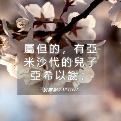 Picture 05 - 民 數 記 1:12 CUVT - 屬 但 的 ， 有 亞 米 沙 代 的 兒 子 - Bible Verse Picture