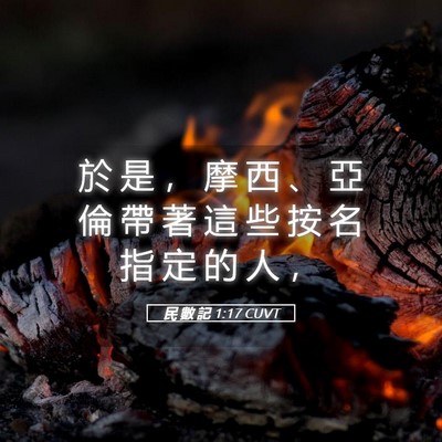 Picture 05 - 民 數 記 1:17 CUVT - 於 是 ， 摩 西 、 亞 倫 帶 著 這 些 - Bible Verse Picture