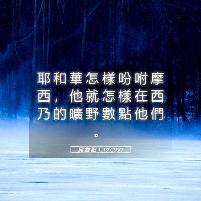 Picture 05 - 民 數 記 1:19 CUVT - 耶 和 華 怎 樣 吩 咐 摩 西 ， 他 就 - Bible Verse Picture