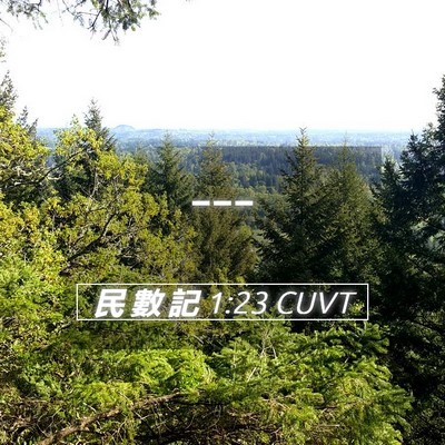 Picture 05 - 民 數 記 1:23 CUVT -  - Bible Verse Picture