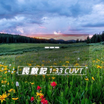 Picture 05 - 民 數 記 1:33 CUVT -  - Bible Verse Picture