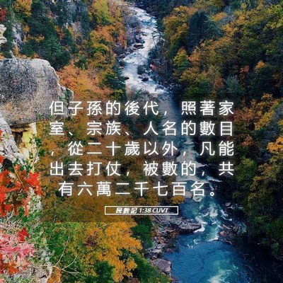 Picture 05 - 民 數 記 1:38 CUVT - 但 子 孫 的 後 代 ， 照 著 家 室 、 - Bible Verse Picture