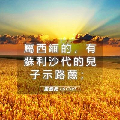 Picture 05 - 民 數 記 1:6 CUVT - 屬 西 緬 的 ， 有 蘇 利 沙 代 的 兒 - Bible Verse Picture