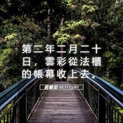 Picture 05 - 民 數 記 10:11 CUVT - 第 二 年 二 月 二 十 日 ， 雲 彩 從 - Bible Verse Picture