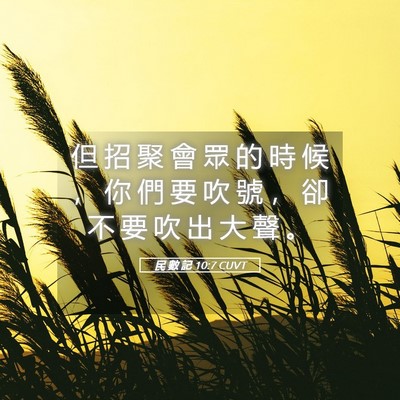 Picture 05 - 民 數 記 10:7 CUVT - 但 招 聚 會 眾 的 時 候 ， 你 們 要 - Bible Verse Picture