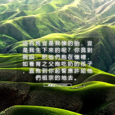 Picture 05 - 民 數 記 11:12 CUVT - 這 百 姓 豈 是 我 懷 的 胎 ， 豈 是 - Bible Verse Picture