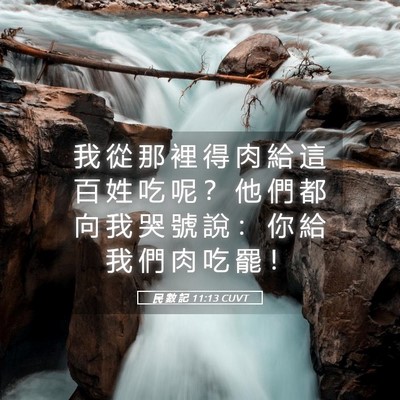 Picture 05 - 民 數 記 11:13 CUVT - 我 從 那 裡 得 肉 給 這 百 姓 吃 呢 - Bible Verse Picture