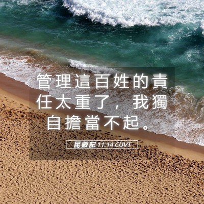 Picture 05 - 民 數 記 11:14 CUVT - 管 理 這 百 姓 的 責 任 太 重 了 ， - Bible Verse Picture