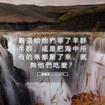 Picture 05 - 民 數 記 11:22 CUVT - 難 道 給 他 們 宰 了 羊 群 牛 群 ， - Bible Verse Picture