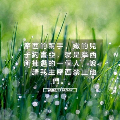 Picture 05 - 民 數 記 11:28 CUVT - 摩 西 的 幫 手 ， 嫩 的 兒 子 約 書 - Bible Verse Picture