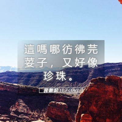 Picture 05 - 民 數 記 11:7 CUVT - 這 嗎 哪 彷 彿 芫 荽 子 ， 又 好 像 - Bible Verse Picture