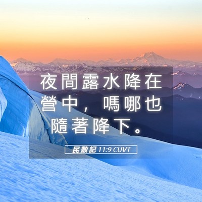 Picture 05 - 民 數 記 11:9 CUVT - 夜 間 露 水 降 在 營 中 ， 嗎 哪 也 - Bible Verse Picture