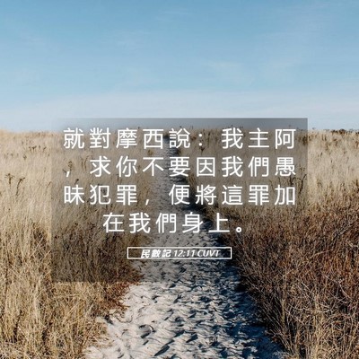 Picture 05 - 民 數 記 12:11 CUVT - 就 對 摩 西 說 ： 我 主 阿 ， 求 你 - Bible Verse Picture