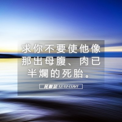 Picture 05 - 民 數 記 12:12 CUVT - 求 你 不 要 使 他 像 那 出 母 腹 、 - Bible Verse Picture