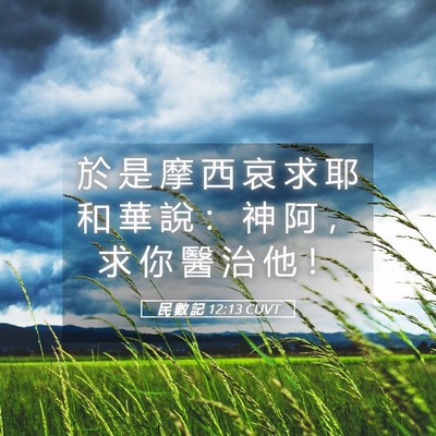 Picture 05 - 民 數 記 12:13 CUVT - 於 是 摩 西 哀 求 耶 和 華 說 ： 神 - Bible Verse Picture