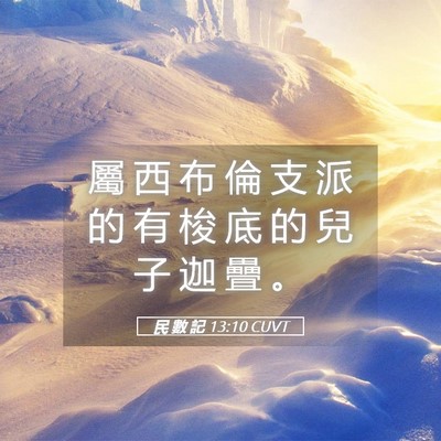 Picture 05 - 民 數 記 13:10 CUVT - 屬 西 布 倫 支 派 的 有 梭 底 的 兒 - Bible Verse Picture