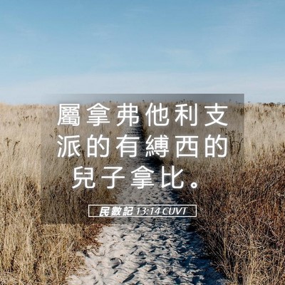 Picture 05 - 民 數 記 13:14 CUVT - 屬 拿 弗 他 利 支 派 的 有 縛 西 的 - Bible Verse Picture