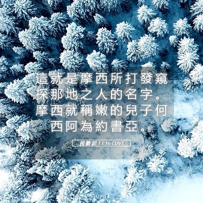 Picture 05 - 民 數 記 13:16 CUVT - 這 就 是 摩 西 所 打 發 窺 探 那 地 - Bible Verse Picture