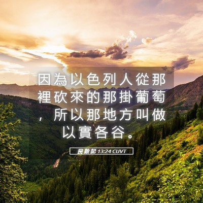 Picture 05 - 民 數 記 13:24 CUVT - 因 為 以 色 列 人 從 那 裡 砍 來 的 - Bible Verse Picture