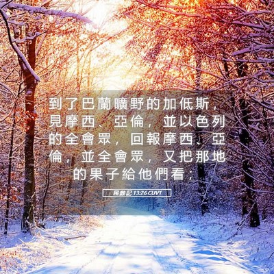 Picture 05 - 民 數 記 13:26 CUVT - 到 了 巴 蘭 曠 野 的 加 低 斯 ， 見 - Bible Verse Picture