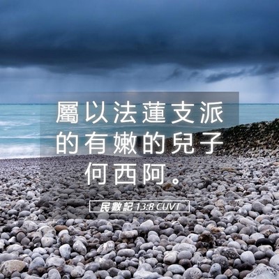 Picture 05 - 民 數 記 13:8 CUVT - 屬 以 法 蓮 支 派 的 有 嫩 的 兒 子 - Bible Verse Picture