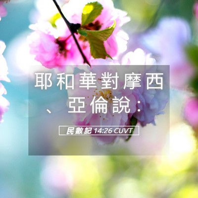 Picture 05 - 民 數 記 14:26 CUVT - 耶 和 華 對 摩 西 、 亞 倫 說 - Bible Verse Picture