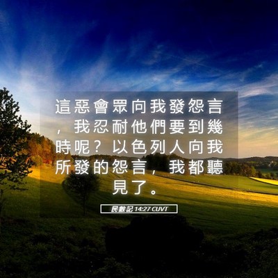 Picture 05 - 民 數 記 14:27 CUVT - 這 惡 會 眾 向 我 發 怨 言 ， 我 忍 - Bible Verse Picture