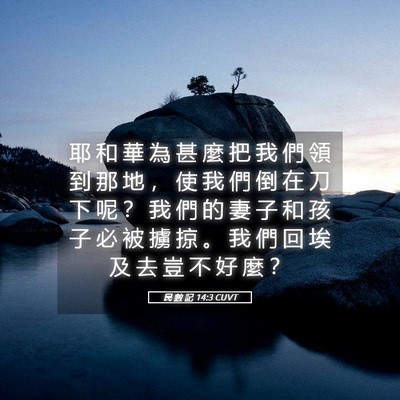 Picture 05 - 民 數 記 14:3 CUVT - 耶 和 華 為 甚 麼 把 我 們 領 到 那 - Bible Verse Picture