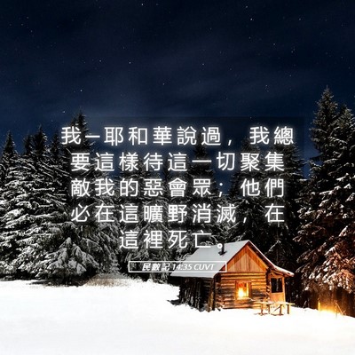 Picture 05 - 民 數 記 14:35 CUVT - 我 ─ 耶 和 華 說 過 ， 我 總 要 這 - Bible Verse Picture