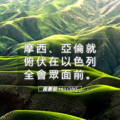 Picture 05 - 民 數 記 14:5 CUVT - 摩 西 、 亞 倫 就 俯 伏 在 以 色 列 - Bible Verse Picture